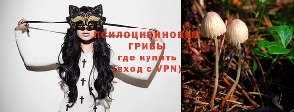 кокс Аркадак
