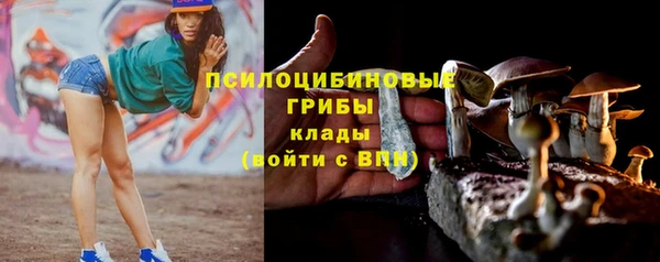 первитин Армянск