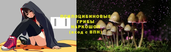 кокс Аркадак