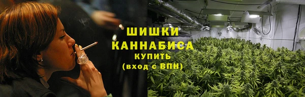 сатива Арсеньев
