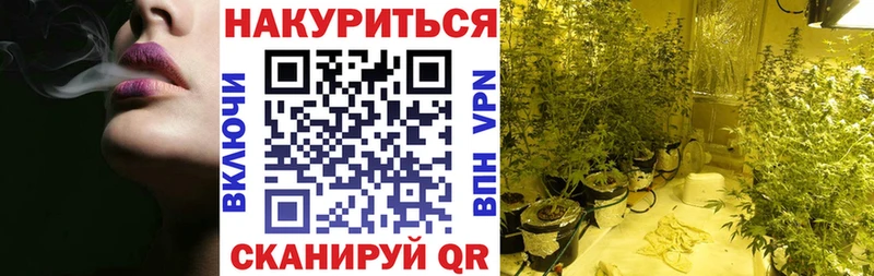 Конопля планчик KRAKEN сайт Саки